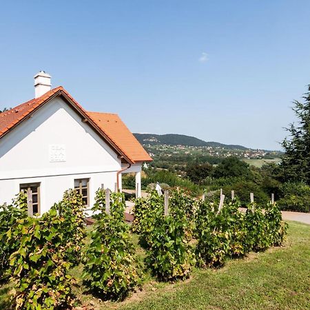 Villa Portico Badacsonytomaj Exteriér fotografie